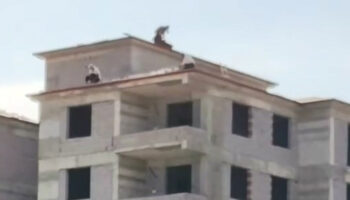 catidaki tehlikeli calisma yurekleri agizlara getirdi JTKUn9vb