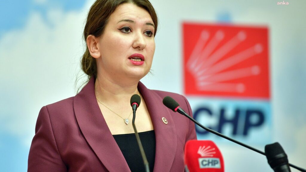 chp genel baskan yardimcisi gokce gokcenden gozaltina alinan gazeteciler icin kinama ZVOx4m5m