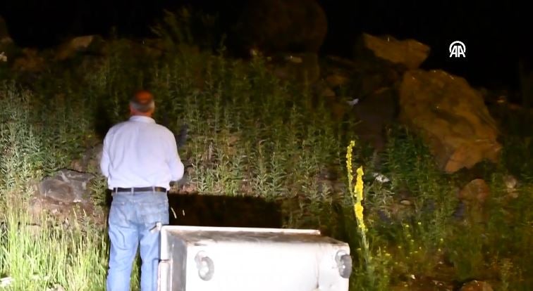 copte yiyecek ararken goruntulendi tepe mahallesinde korku dolu anlar dikkatli olun uyarisi 10