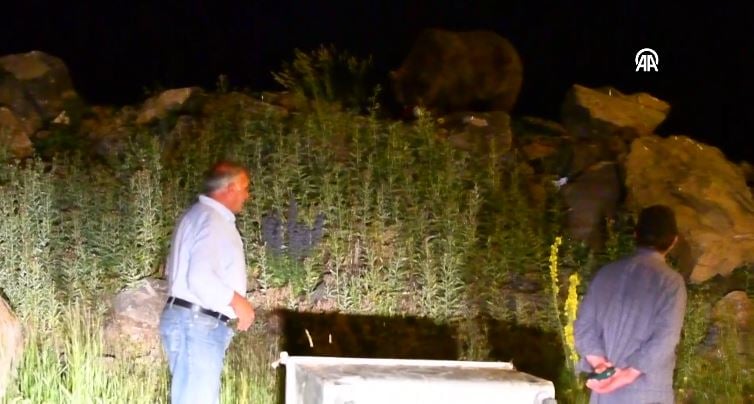 copte yiyecek ararken goruntulendi tepe mahallesinde korku dolu anlar dikkatli olun uyarisi 11 cKpPLSOQ