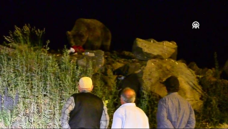 copte yiyecek ararken goruntulendi tepe mahallesinde korku dolu anlar dikkatli olun uyarisi 12 MMmjsTWG