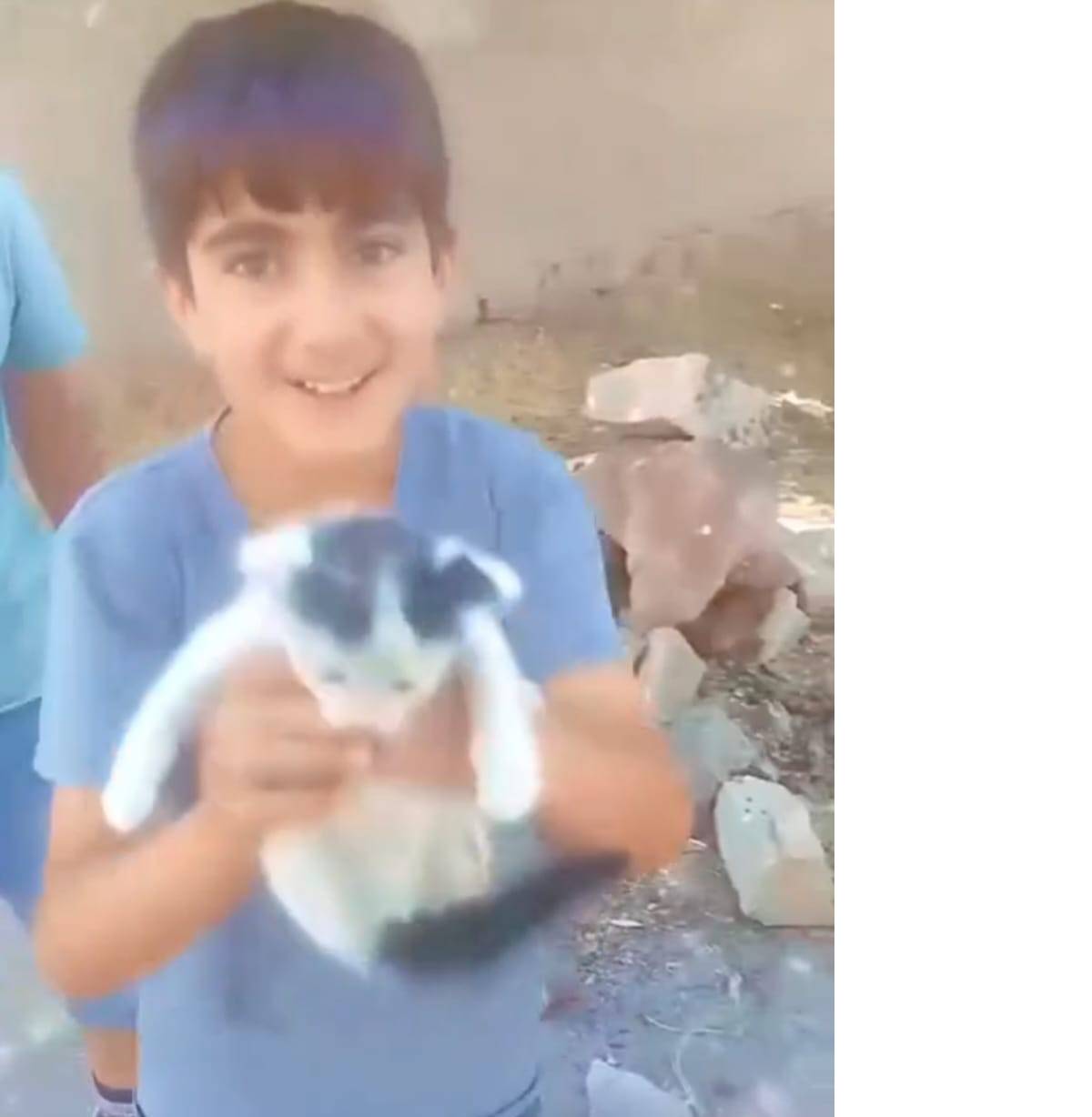 foseptik cukuruna dusen minik kediye yardim eli 3 Ce2ecRZp