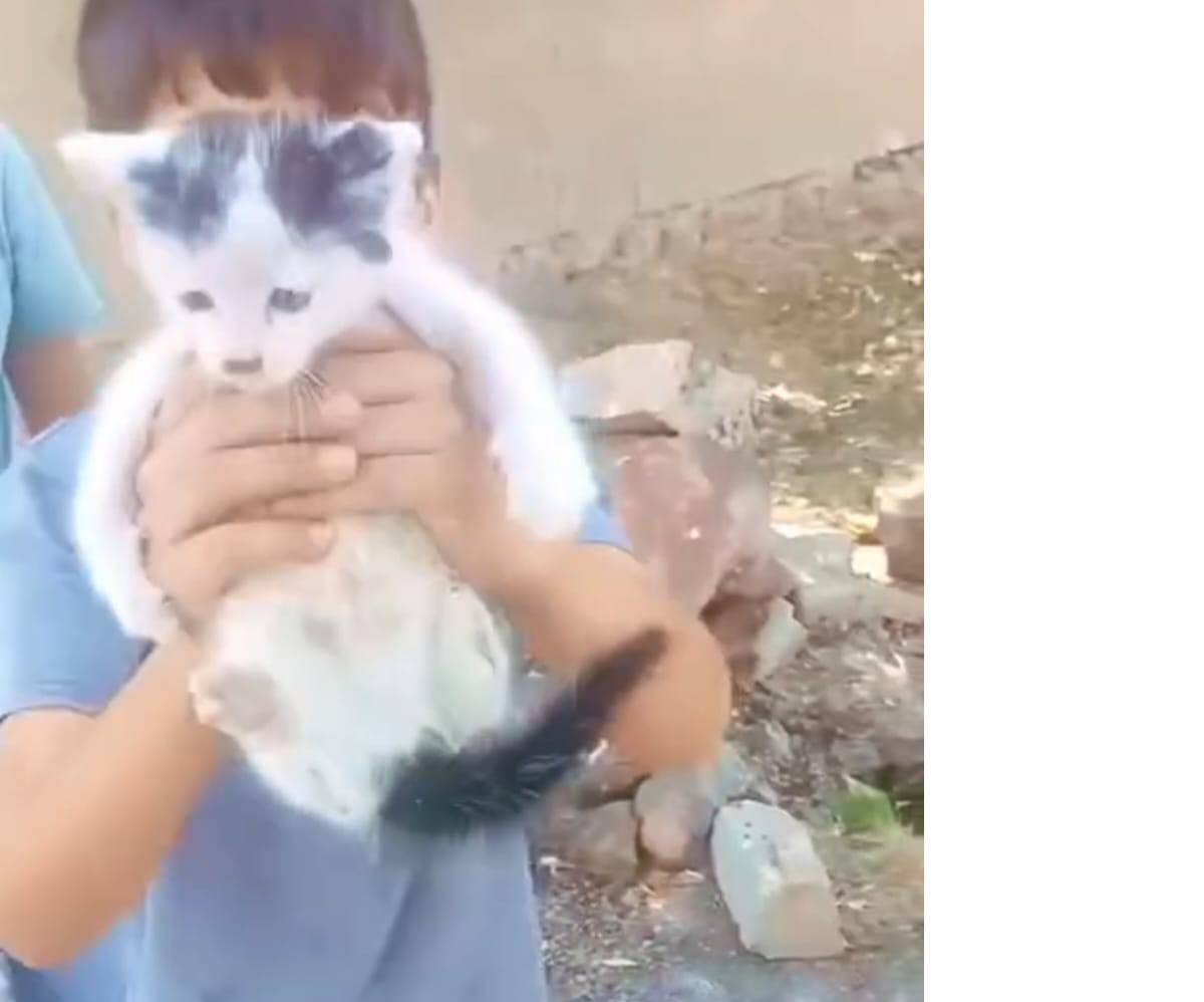 foseptik cukuruna dusen minik kediye yardim eli 4 mrGrgDOe