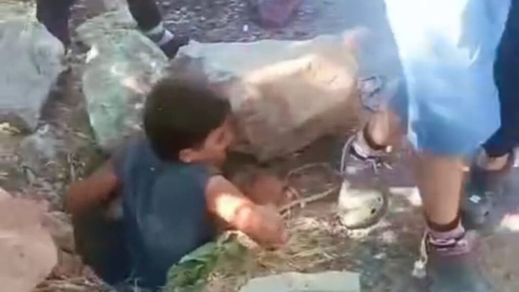 foseptik cukuruna dusen minik kediye yardim eli lZjuNL87