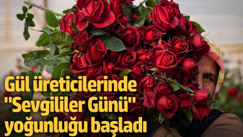 gul ureticilerinde sevgililer gunu yogunlugu basladi QDhCUFdd