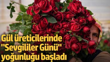 gul ureticilerinde sevgililer gunu yogunlugu basladi QDhCUFdd