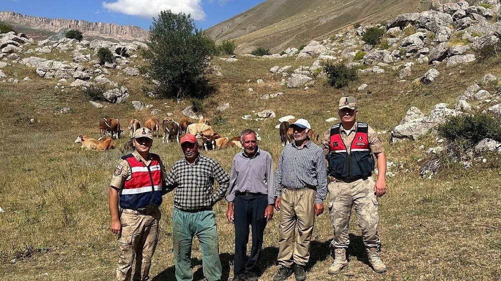 gunlerdir kayiplardi 17 buyukbas hayvan bulundu 1