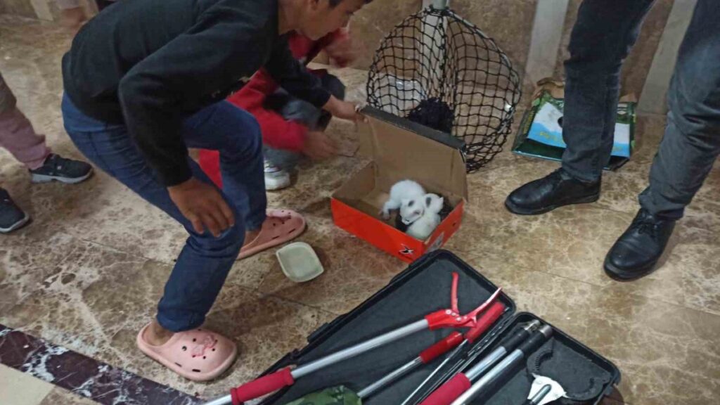 havalandirma bosluguna giren yavru kediler kurtarildi SxU7vSLj