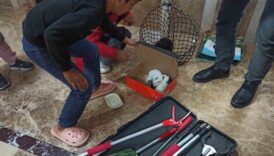 havalandirma bosluguna giren yavru kediler kurtarildi SxU7vSLj