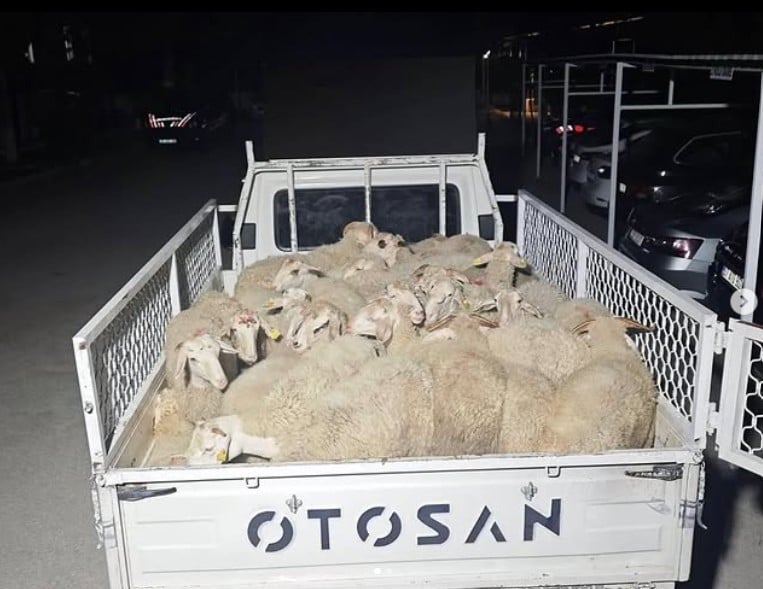 hayvan pazarligi hirsizliga donustu sahislar kacamadan yakalandi APQegDnb