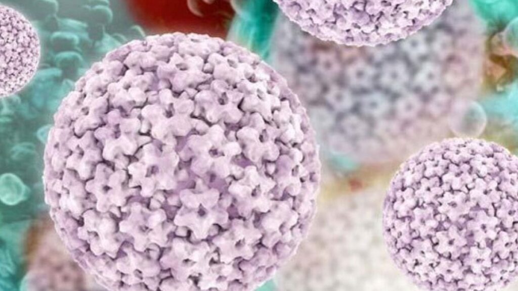 hpv hastaligina karsi yerli uretim asi hazirlik asamasinda 614MuzJA