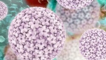 hpv hastaligina karsi yerli uretim asi hazirlik asamasinda 614MuzJA