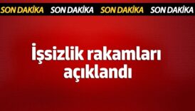 issizlik rakamlari belli oldu Qduybx34
