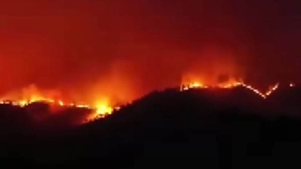 kahramanmarasta yangin ilerliyor l5W7fmHa