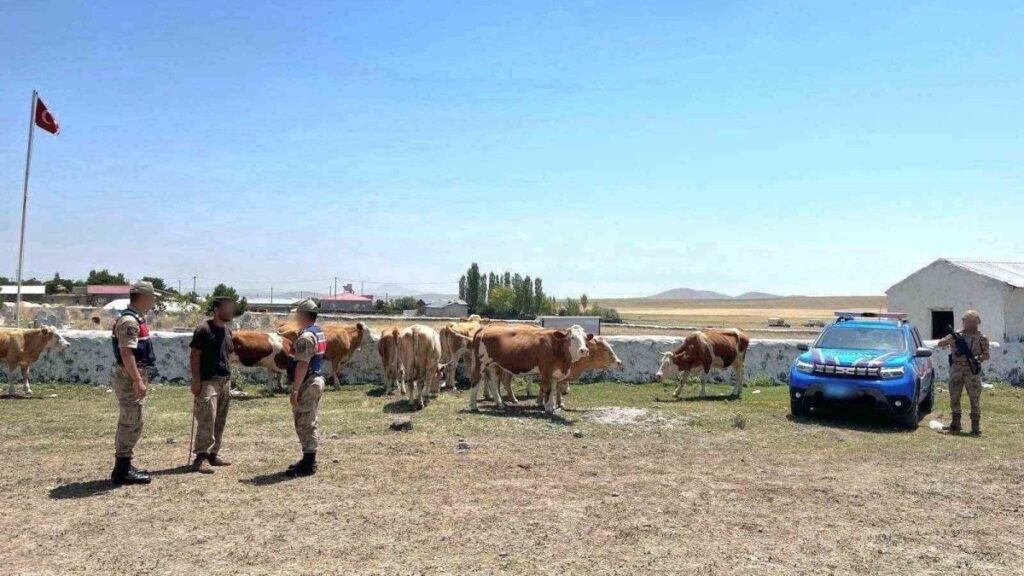 kaybolan buyukbas hayvanlar sahibine kavustu bv6MDP9u