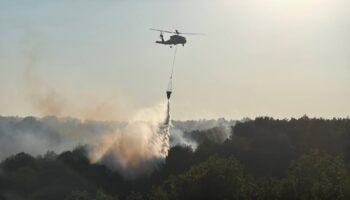 kocaelide ormanlik alanda cikan yangin kontrol altina alindi pfGW9cCM