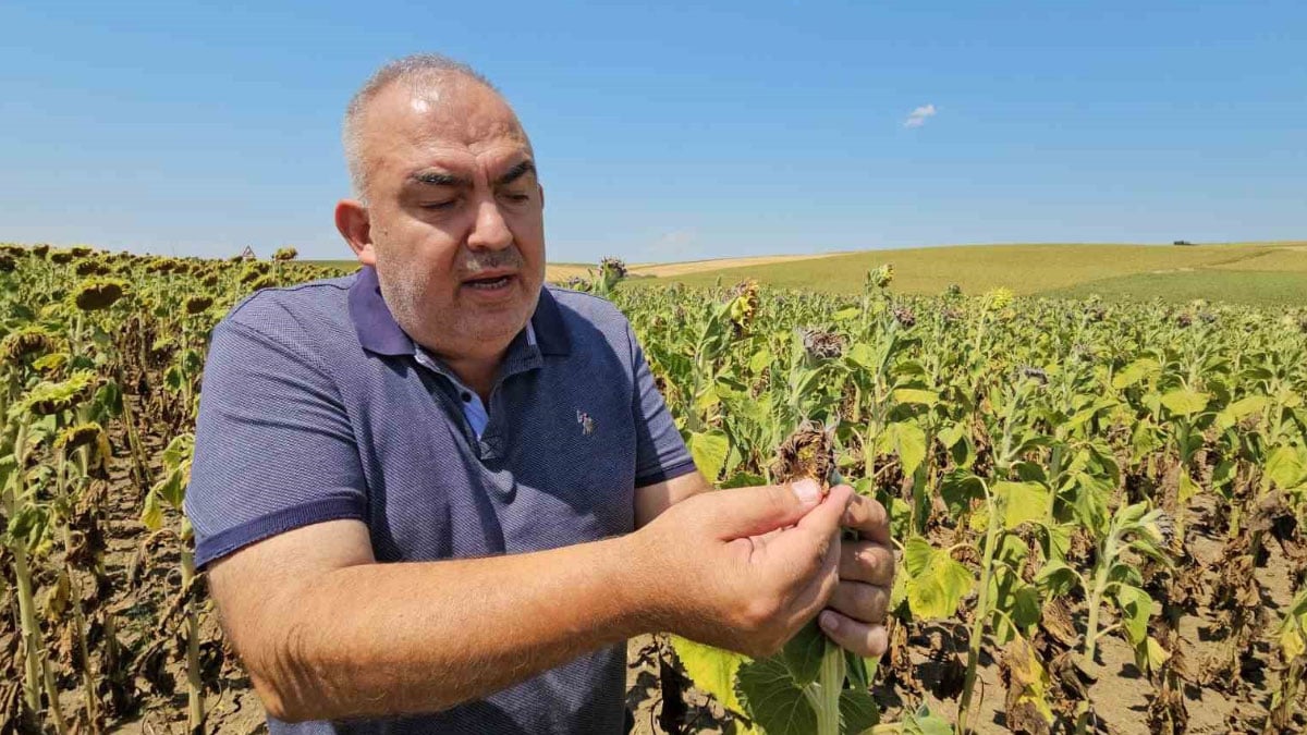 kuraklik trakyayi vurdu alarm verildi cicek acmadan kurudu 0 Pv81zUvc
