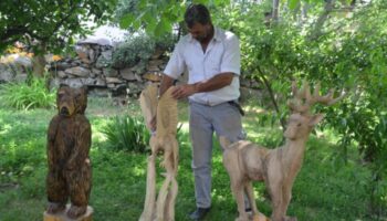 kuruyan agaclari sanat eserine donusturuyor 3ffbKwWg