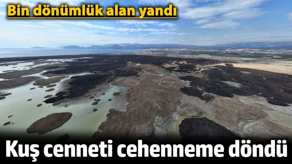 mersinde kus cenneti cehenneme dondu bin donumluk alan yandi IGgazdhF