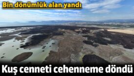 mersinde kus cenneti cehenneme dondu bin donumluk alan yandi IGgazdhF