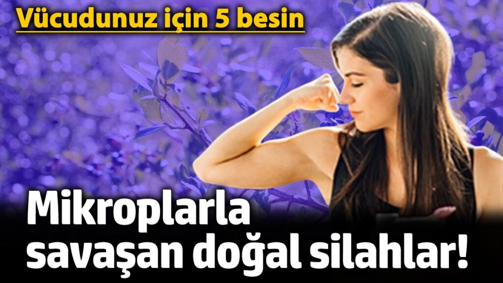 mikroplarla savasan dogal silahlar vucudunuz icin 5 besin 6IqBaSv8