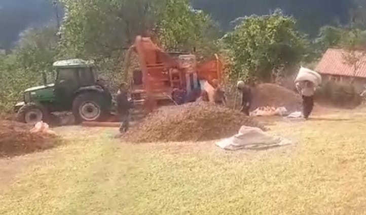 orduda findik sezonu patoz ucretinin saati dudak ucuklatti kucuk uretici endiseli 0 S9tgqHN3