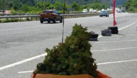 orduda taze findik tezgahlarda kilo fiyati belli oldu 3Qg9szDJ