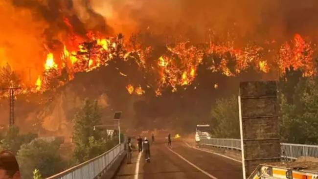 ormancilar dernegi baskani ihmalleri tek tek siraladi 0 LvE3HM8V
