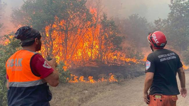 ormancilar dernegi baskani ihmalleri tek tek siraladi 2