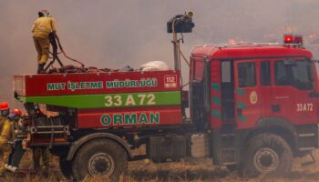 ormancilar dernegi baskani ihmalleri tek tek siraladi uXf8uiQh