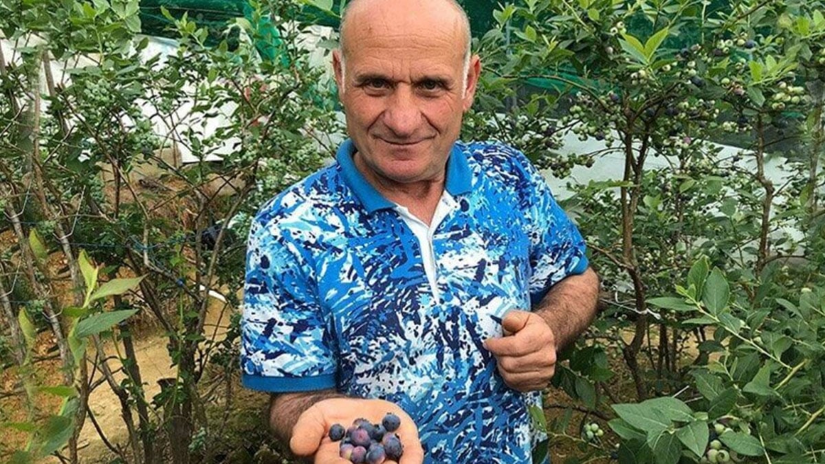 rizede likapa hasadi basladi yaban mersini ureticinin yeni umudu oldu 1 iCAHH4sT