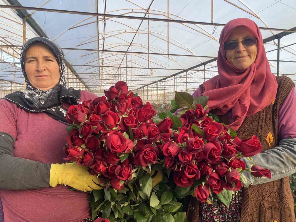 sevgililer gunu gul ureticisinin yuzunu guldurecek 1 demeti dudak ucuklatiyor 0