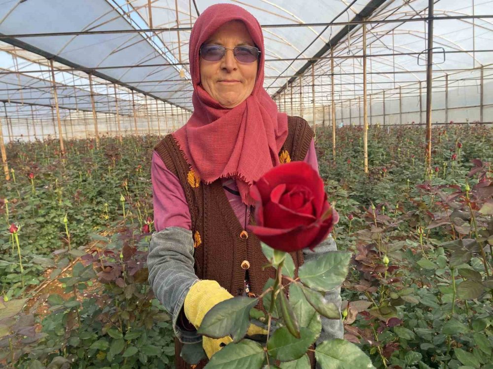 sevgililer gunu gul ureticisinin yuzunu guldurecek 1 demeti dudak ucuklatiyor 6 VGmzzmIX