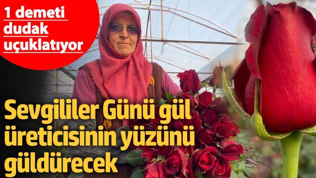 sevgililer gunu gul ureticisinin yuzunu guldurecek 1 demeti dudak ucuklatiyor Yhpj8H3C