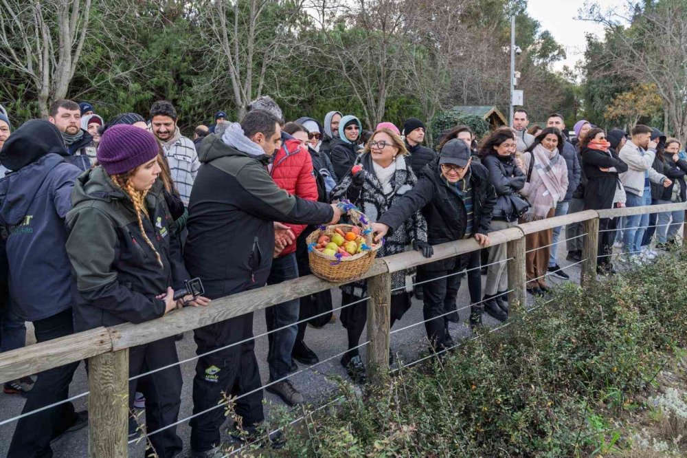 turkiyede dogan ilk fil izmir bal kabakli pasta kesip dogum gununu kutladilar 2 e9y7g3JA