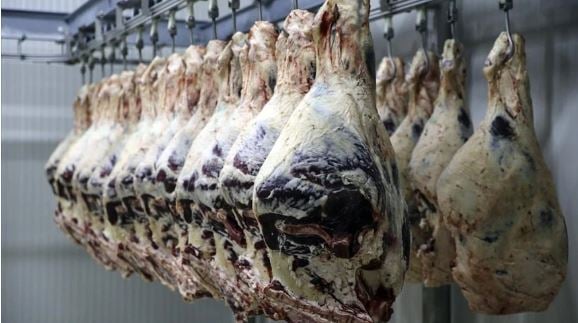 turkiyenin et krali iflasin pencesinde kriz teget gecmiyor 1 yuCGbht6