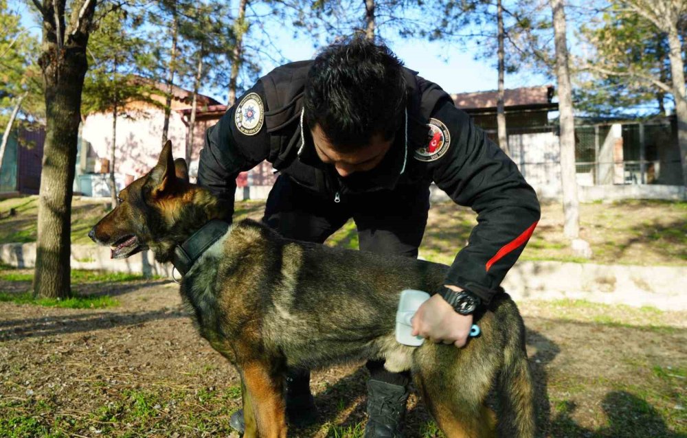 uyusturucu tacirlerinin korkulu ruyasi 4 mOlwi8eg