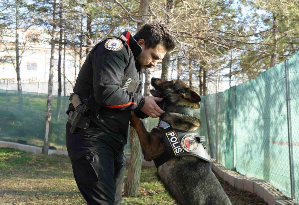uyusturucu tacirlerinin korkulu ruyasi 5 YRLzmXf3
