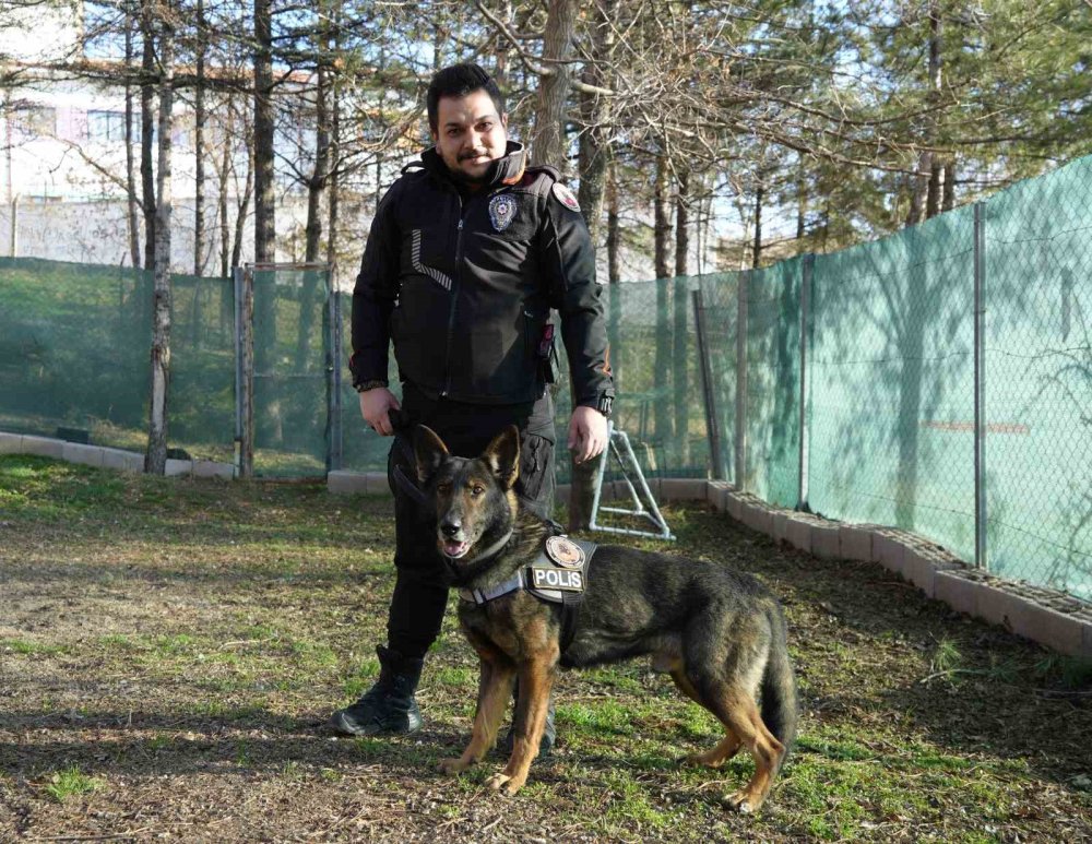 uyusturucu tacirlerinin korkulu ruyasi 6