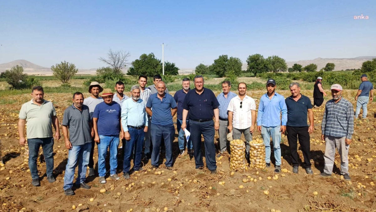yazlik patates ureticisi dertli ciftci umutla ekiyor yil sonunda husrana ugruyor 0 GlJNtFNZ