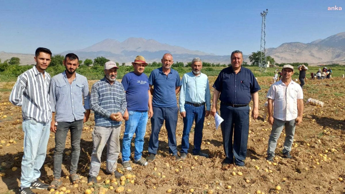 yazlik patates ureticisi dertli ciftci umutla ekiyor yil sonunda husrana ugruyor 1 uB3Nz5mq