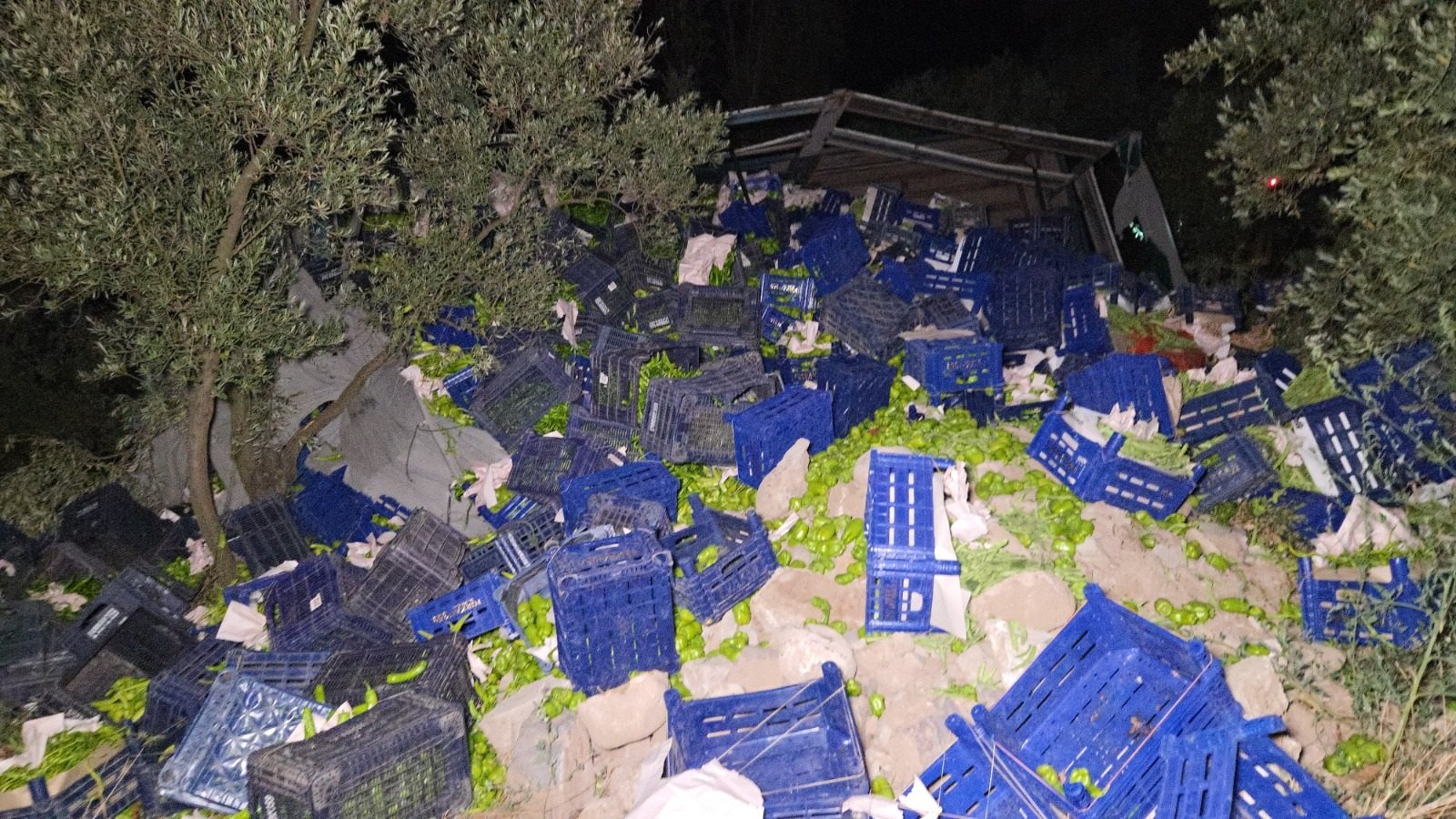 zeytinlige ucan kamyonda sikisan surucu yaralandi 0