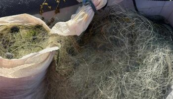 250 metrelik ag ile dogayi katlediyorlardi TT5WZwZP