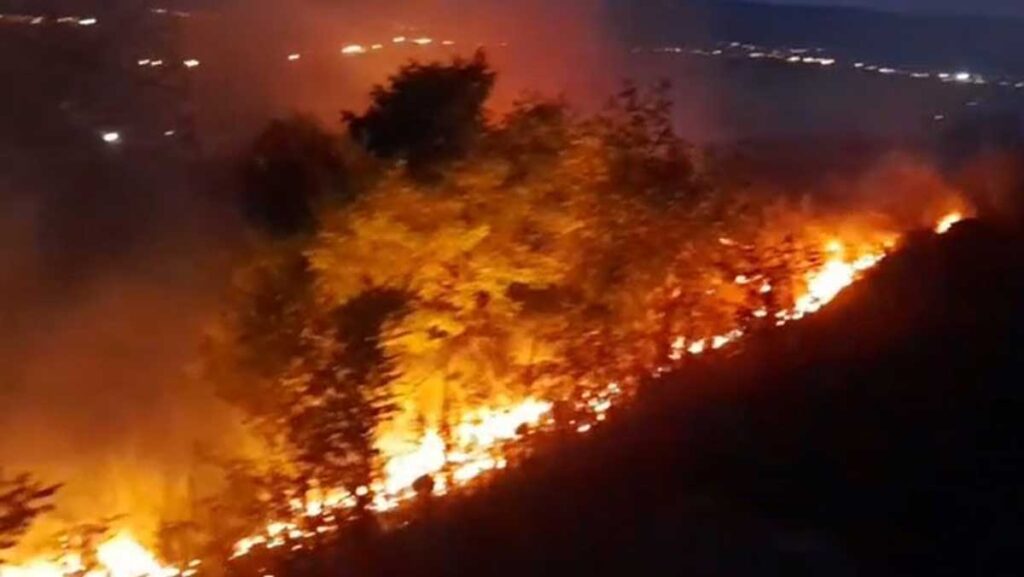 aniz ve fidanlik yangini geceyi aydinlatti gHGVH8GY