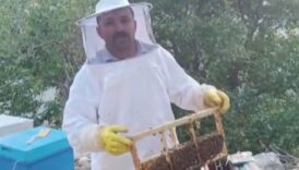 ari kovanlarina ayi saldirisi uretici buyuk zarara ugradi tam 100 bin lira dR8ne9My
