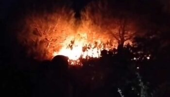 arnavutkoyde ormanlik alanda cikan yangin buyumeden sonduruldu JFFK7vnh