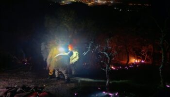 aydin denizli sinirinda cikan orman yangini kontrol altina alindi ECW9LKwn