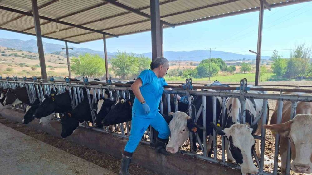 aydinda sap hastaligina karsi yogun mucadele 4 ufIjr3zK