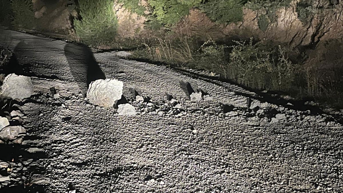balikesir balyada ciddi cevre zarari 45 donum dogal alan kurudu 4 vXLzcUeg