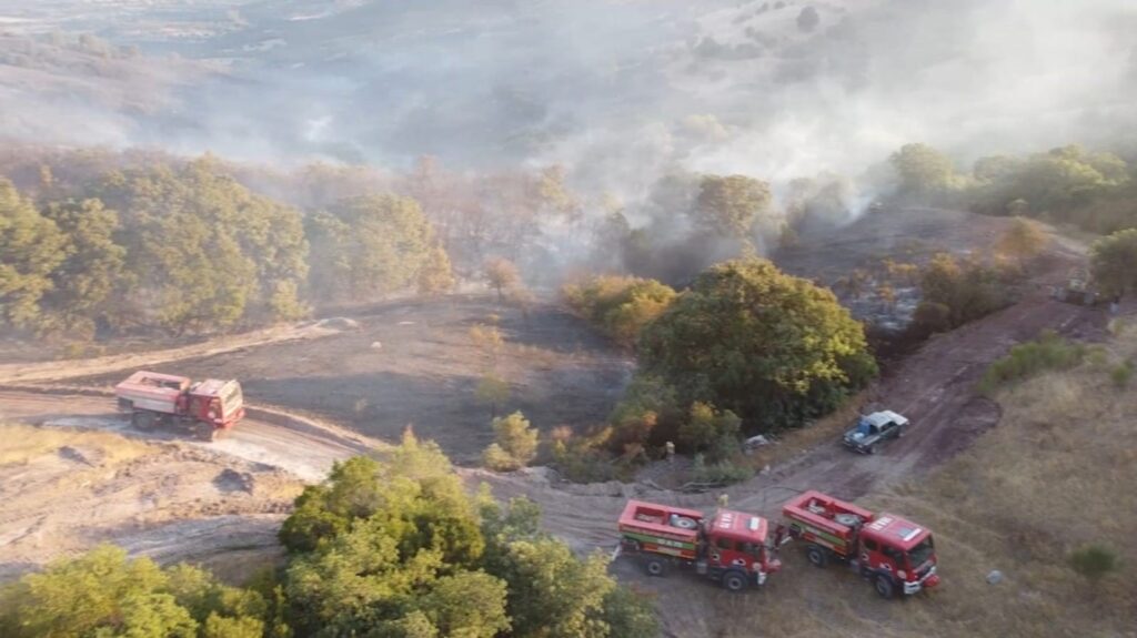 Balıkesir’deki orman yangını kontrol altına alındı 1 balikesirdeki orman yangini kontrol altina alindi 3YBOSggQ